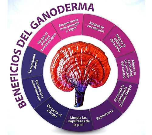 Ganoderma Gano Cafe 3 En 1 Oferta 4 Cajas Hongo Usa Full