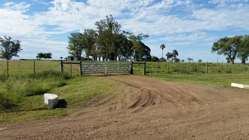 Campo 340 Has En Artigas Limite Con Salto