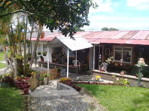 Imagen 10 de 27 de Se Vende Finca De Cuadra Y Media, Vía Montenegro Quindio