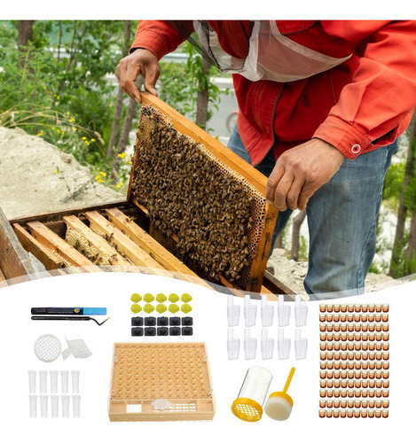 Kit Completo De Cría De Abejas Reina Kit De Cría De Abejas R