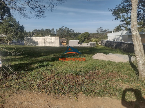 Imagem 11 de 12 de Terreno - Te00021 - 69336091