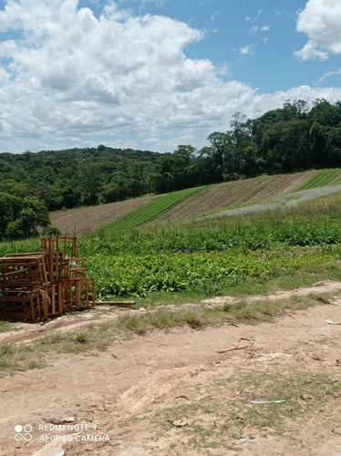 Imagem 4 de 22 de 03o- Vendo Esse Terreno Excelente Em Boa Localização