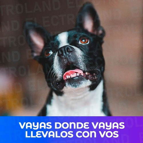 Imagen 6 de 10 de Caja Transportadora Para Perros Y Gatos Viajes Resistente