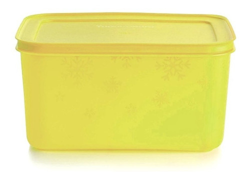 Hermetico Practifrezee Frozen Ll 2,5 Lt Tupperware® 0% Bpa