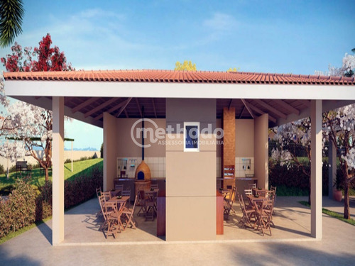 Apartamento - Ap00786 - 68208144