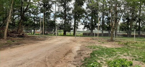 Imagen 6 de 13 de Lotes Baldíos De 744 M2 En Cañuelas (ref: El Retiro)