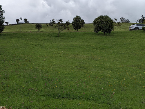 Hermoso Lote En Chía, Montevioleta