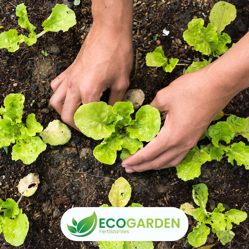 5kg Fertilizante Npk Adubo 20x05x20 - Ecogarden Fertilizantes