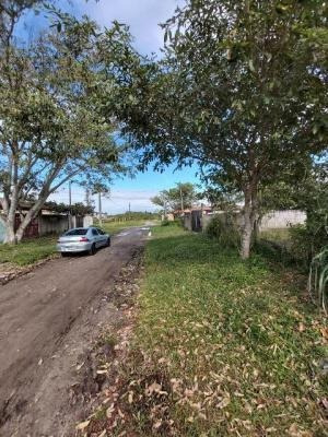 Imagem 3 de 14 de Terreno No Jardim Regina, Em Itanhaém,