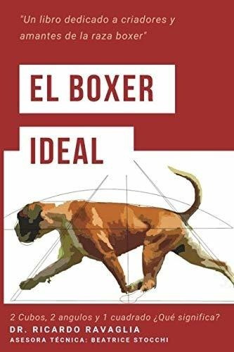 El Boxer Ideal: Dos Cubos, Dos Ángulos Y Un Cuadrado
