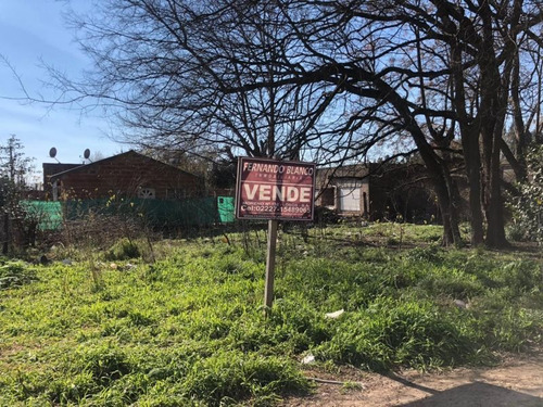 Imagen 1 de 4 de Terreno En Venta En Zona Terminal
