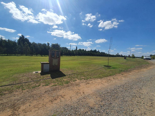 Imagen 2 de 4 de Terreno - Junin