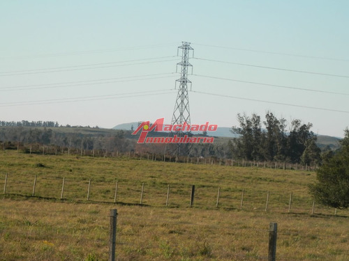 Imagen 3 de 7 de Venta De Chacra Sobre Ruta 104