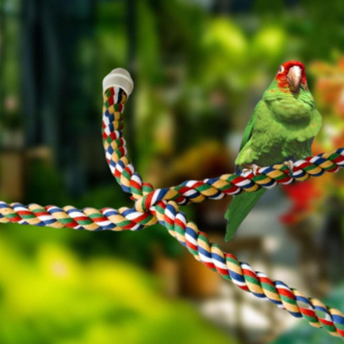 Perchas De Cuerda Para Pájaros, Cuerda De Escalada, Cuerda