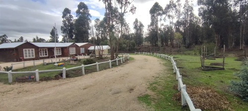 Venta Parcela 5.000 M2 Con Casa 5d/1b En Litueche