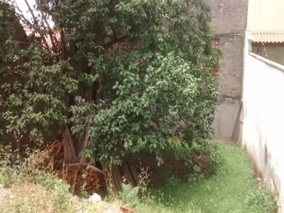 Imagem 5 de 15 de Ref.: 8664 - Terreno Em São Paulo Para Venda - V8664