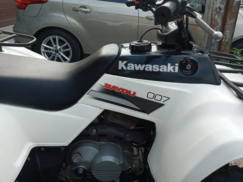 Imagen 12 de 15 de Kawasaki Bayou