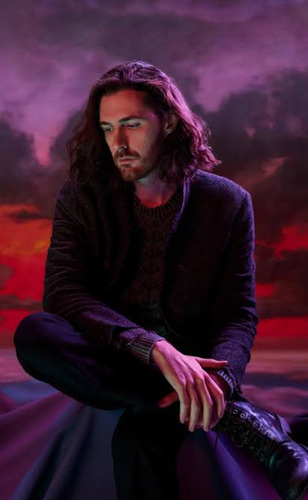 Vendo Ingresso Show Hozier No Rj 01/06 - Pista Inteira!