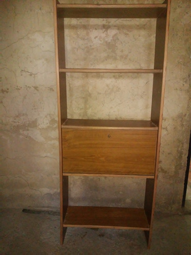 Estante De Madera Con Puerta Rebatible (Usado)