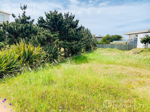 Venta Terreno Montoya, Punta Del Este