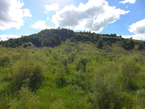 Campo En Venta En Rivera Ref. 7945 (ref: Cbr-1220)