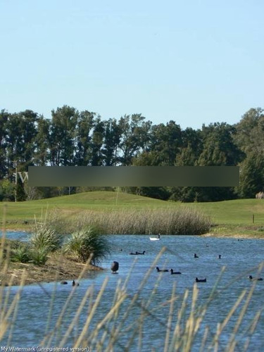 Estancia Benquerencia Farm Club - Chacra 339 (3.4ha) , Monte, Pcia. Bs. As.