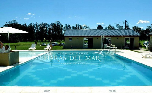 Imagen 3 de 4 de Venta Lote Haras Del Mar