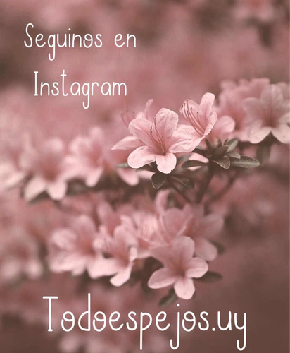 Espejos Todas Las Medidas