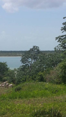 Imagen 9 de 15 de Increíble Lote En Venta Con 270 M Lineales De Laguna De Bacalar C1314