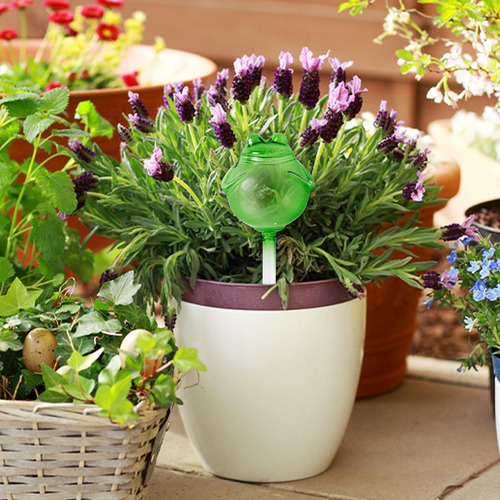Globos De Riego Automático Globos De Riego Para Plantas De I