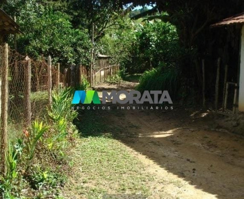 Imagem 6 de 15 de Fazenda - Zona Rural - Ref: 4818 - V-mta4818