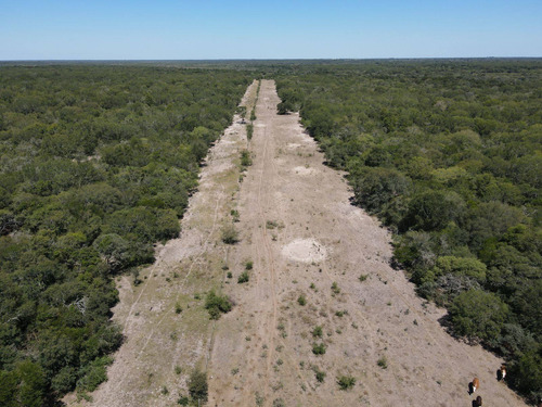 Imagen 26 de 30 de Campo Ganadero 3220 Ha - ( 420 Agrícolas ) Reconquista - Prov. De Santa Fe