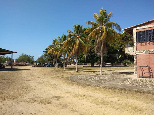 Imagen 9 de 24 de Hato En Venta En Santa Bárbara De Barinas