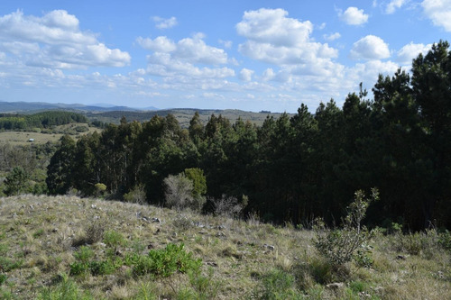 Imagen 23 de 25 de Venta Chacra Pueblo Eden Maldonado Ruta 60