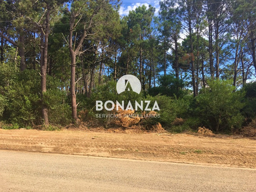 Imagen 2 de 6 de Terreno En Venta, Piriápolis, Punta Colorada, 1027 M²