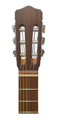 Guitarra Criolla Fonseca 25 Colores Mate Op Libertella