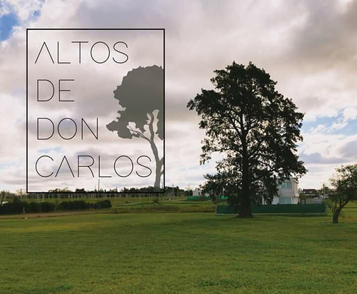 Lote De 11,25 X 27,50 - 507 Y 138 - Altos De Don Carlos I