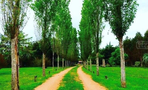 Imagen 17 de 19 de Terreno Campo Hotel Posada En Venta Ubicado En Ruta 104 Punta Del Este Manantiales, Punta Del Este, Punta Del Este / Maldonado