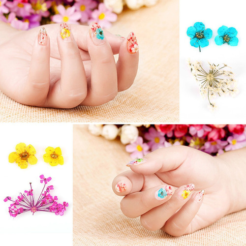 Flores Secas Flores De Uñas Románticas Para Decorar Tu