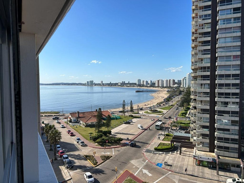 Hermoso Apartamento En Peninsula . Inmejorable Ubicacion . Con Garaje..