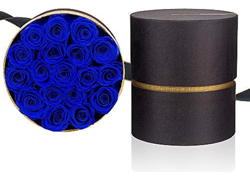 Rosas Preservadas De Color Azul Real Rosas Reales Hechas A M