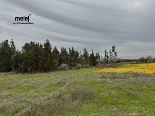 Venta Terreno En Los Laureles, Limache