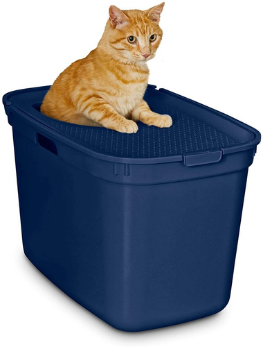 Caja De Arena Entrada Superior Petco Brand So Phresh Navy
