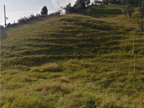 Lote En Venta De 1.386 M2, Concepción