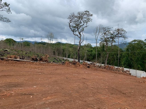 Imagem 9 de 12 de Gs- Venha Já Garantir O Seu Terreno Dos Sonhos !!!