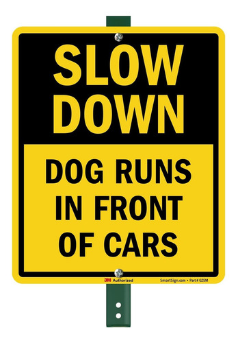 Dog Runs In Front Of Cars  Estaca 3 Pie Aluminio 40 Mil 1