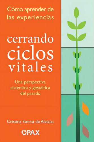 Como Aprender De Las Experiencias Cerrando Ciclos
