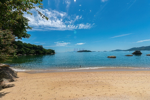 Imagem 28 de 30 de Praia Ou Campo? Os 2... - 994