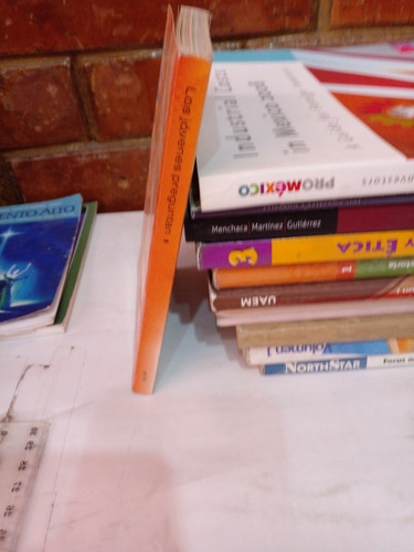 Lo Que Los Jóvenes Preguntan Respuestas Prácticas Volumen 1 (Usado)