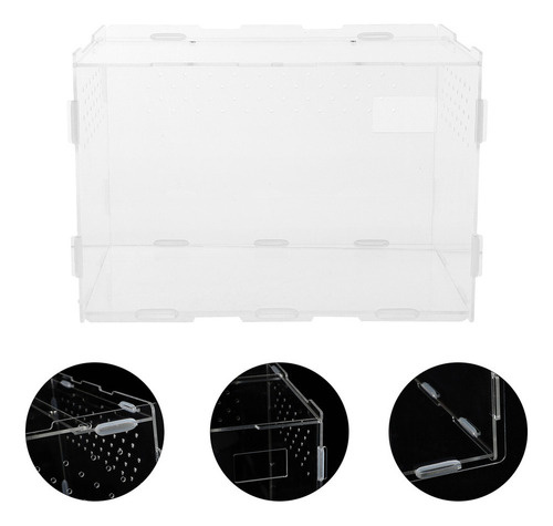 Práctica Caja De Alimentación Para Reptiles, Vitrina Para La